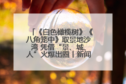 《白色橄榄树》《八角笼中》取景地沙湾 凭借“景、城、人”火爆出圈丨新闻发布最前线