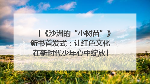 《沙洲的“小树苗”》新书首发式：让红色文化在新时代少年心中绽放