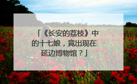 《长安的荔枝》中的十七娘，竟出现在延边博物馆？