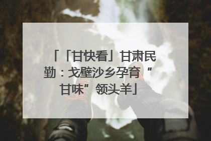「甘快看」甘肃民勤：戈壁沙乡孕育“甘味”领头羊