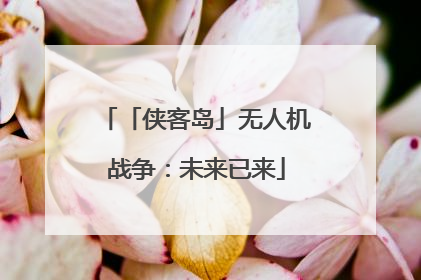 「侠客岛」无人机战争：未来已来