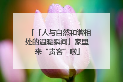 「人与自然和谐相处的温暖瞬间」家里来“贵客”啦