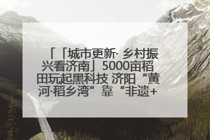 「城市更新· 乡村振兴看济南」5000亩稻田玩起黑科技 济阳“黄河·稻乡湾”靠“非遗+露营”火出圈