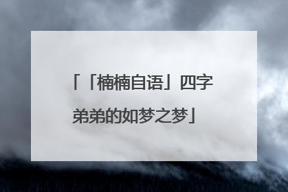 「楠楠自语」四字弟弟的如梦之梦