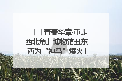「青春华章·重走西北角」博物馆丑东西为“神马”爆火