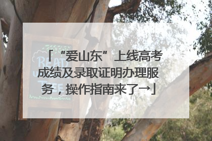 “爱山东”上线高考成绩及录取证明办理服务，操作指南来了→