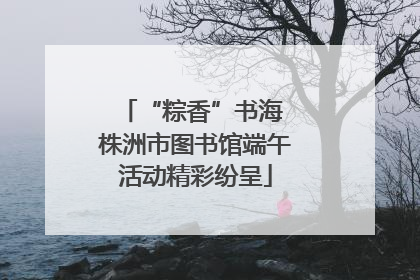 “粽香”书海 株洲市图书馆端午活动精彩纷呈