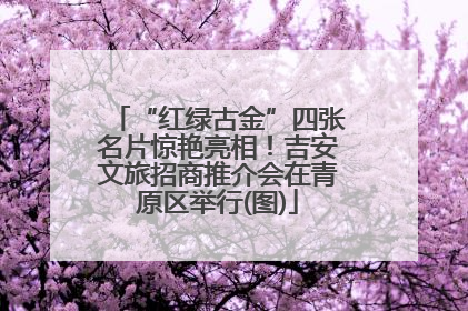 “红绿古金”四张名片惊艳亮相！吉安文旅招商推介会在青原区举行(图)