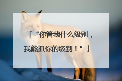 “你管我什么级别，我能抓你的级别！”