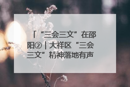 “三会三文”在邵阳②｜大祥区“三会三文”精神落地有声 以实干实绩助力区域高质量发展