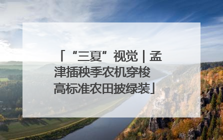“三夏”视觉｜孟津插秧季农机穿梭 高标准农田披绿装