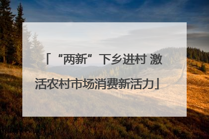 “两新”下乡进村 激活农村市场消费新活力