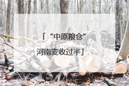 “中原粮仓”河南麦收过半