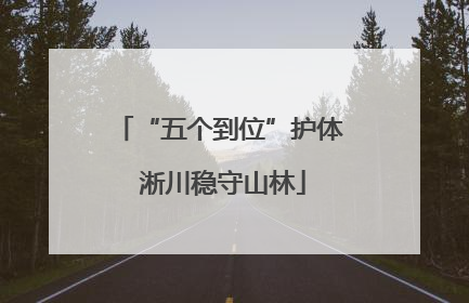 “五个到位”护体 淅川稳守山林