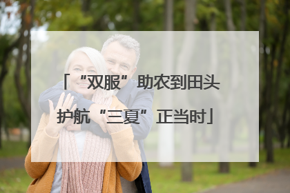 “双服”助农到田头 护航“三夏”正当时