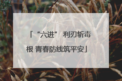 “六进” 利刃斩毒根 青春防线筑平安
