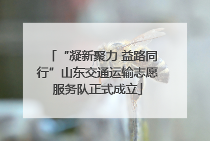 “凝新聚力 益路同行”山东交通运输志愿服务队正式成立