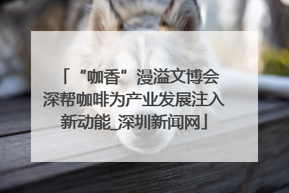“咖香”漫溢文博会 深帮咖啡为产业发展注入新动能_深圳新闻网
