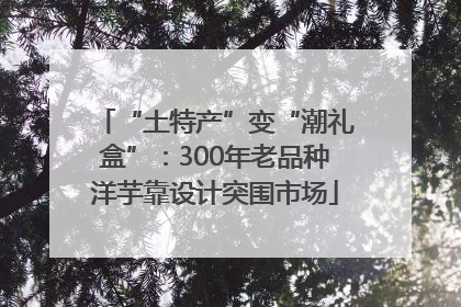 “土特产”变“潮礼盒”：300年老品种洋芋靠设计突围市场