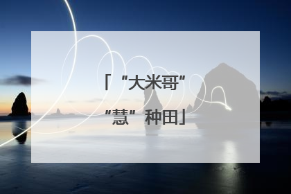 “大米哥”“慧”种田