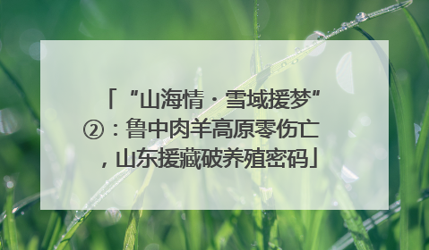 “山海情・雪域援梦”②：鲁中肉羊高原零伤亡，山东援藏破养殖密码