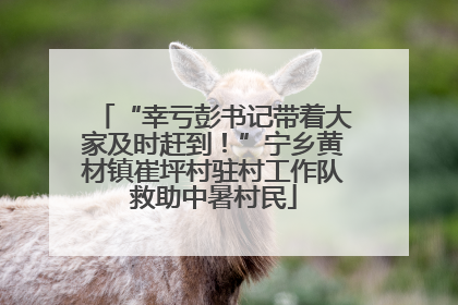 “幸亏彭书记带着大家及时赶到！”宁乡黄材镇崔坪村驻村工作队救助中暑村民