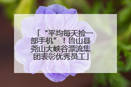 “平均每天捡一部手机”！鲁山县尧山大峡谷漂流集团表彰优秀员工