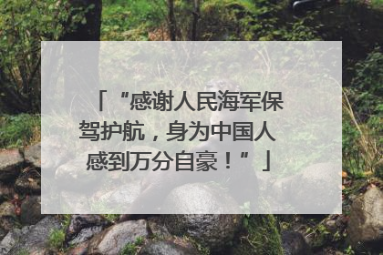“感谢人民海军保驾护航，身为中国人感到万分自豪！”