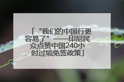 “我们的中国行更容易了”——印尼民众点赞中国240小时过境免签政策