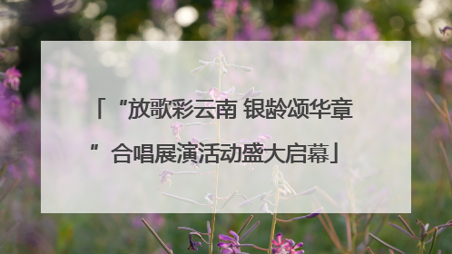 “放歌彩云南 银龄颂华章”合唱展演活动盛大启幕