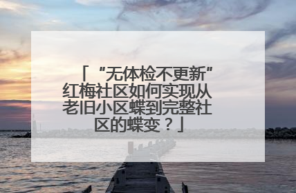 “无体检不更新”红梅社区如何实现从老旧小区蝶到完整社区的蝶变？