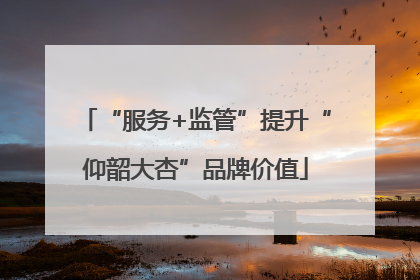 “服务+监管”提升“仰韶大杏”品牌价值