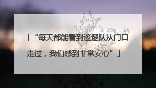 “每天都能看到巡逻队从门口走过，我们感到非常安心”