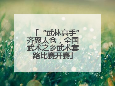 “武林高手”齐聚太仓，全国武术之乡武术套路比赛开赛