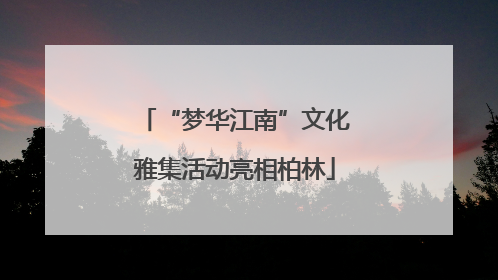 “梦华江南”文化雅集活动亮相柏林