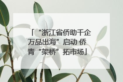 “浙江省侨助千企万品出海”启动 侨青“架桥”拓市场