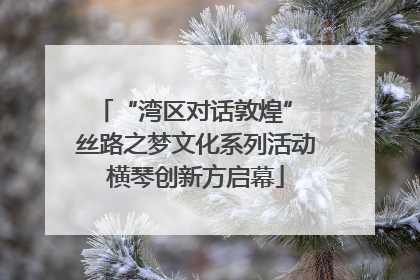 “湾区对话敦煌” 丝路之梦文化系列活动横琴创新方启幕