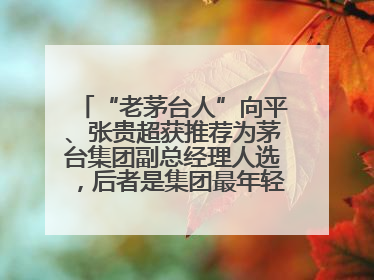 “老茅台人”向平、张贵超获推荐为茅台集团副总经理人选，后者是集团最年轻党委委员