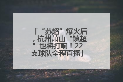 “苏超”爆火后，杭州萧山“镇超”也将打响！22支球队全程直播