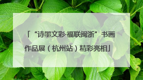 “诗墨文彩·福联闽浙”书画作品展（杭州站）精彩亮相
