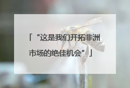“这是我们开拓非洲市场的绝佳机会”