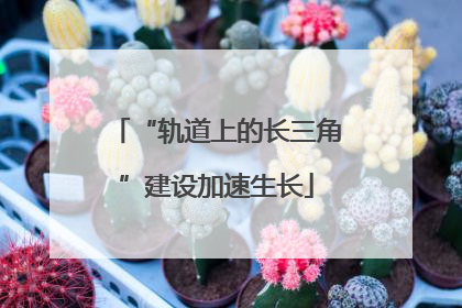 “轨道上的长三角”建设加速生长
