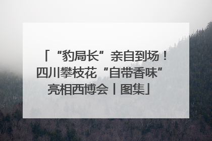 “豹局长”亲自到场！四川攀枝花“自带香味”亮相西博会丨图集