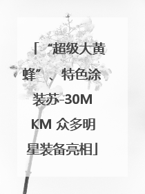 “超级大黄蜂”、特色涂装苏-30MKM 众多明星装备亮相