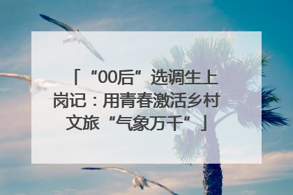 “00后”选调生上岗记：用青春激活乡村文旅“气象万千”