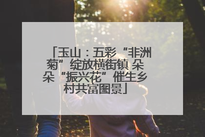 玉山：五彩“非洲菊”绽放横街镇 朵朵“振兴花”催生乡村共富图景
