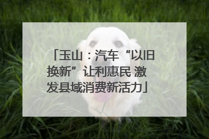 玉山：汽车“以旧换新”让利惠民 激发县域消费新活力