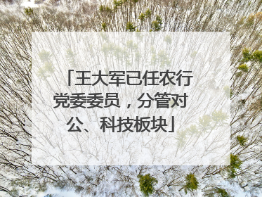 王大军已任农行党委委员，分管对公、科技板块