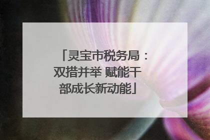 灵宝市税务局：双措并举 赋能干部成长新动能