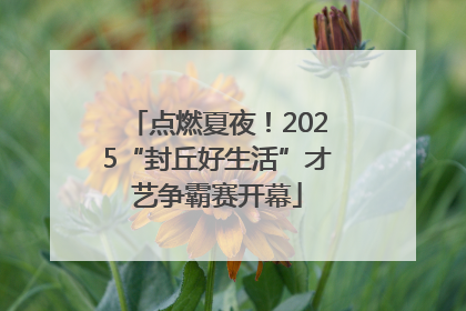 点燃夏夜！2025“封丘好生活”才艺争霸赛开幕